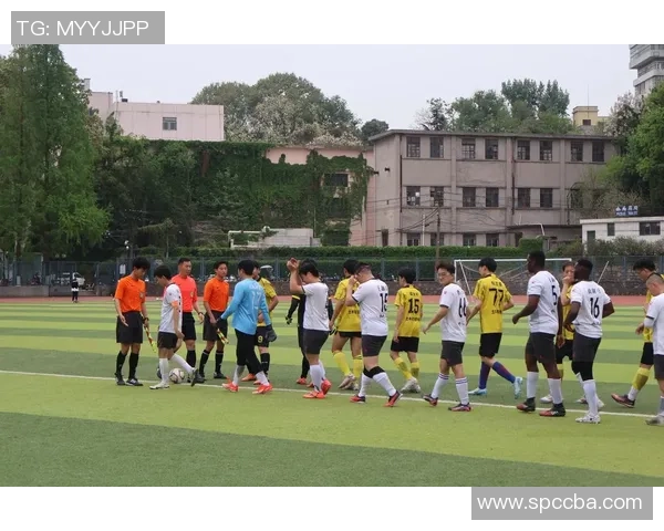 绿茵传奇再现从少年到巨星的励志足球人生旅程